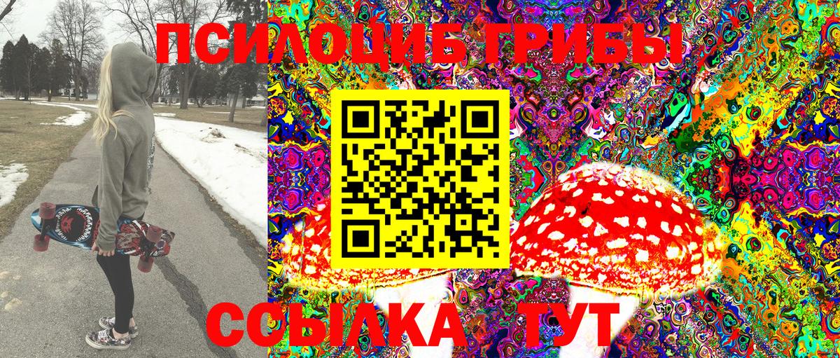 Галлюциногенные грибы Cubensis Лыткарино