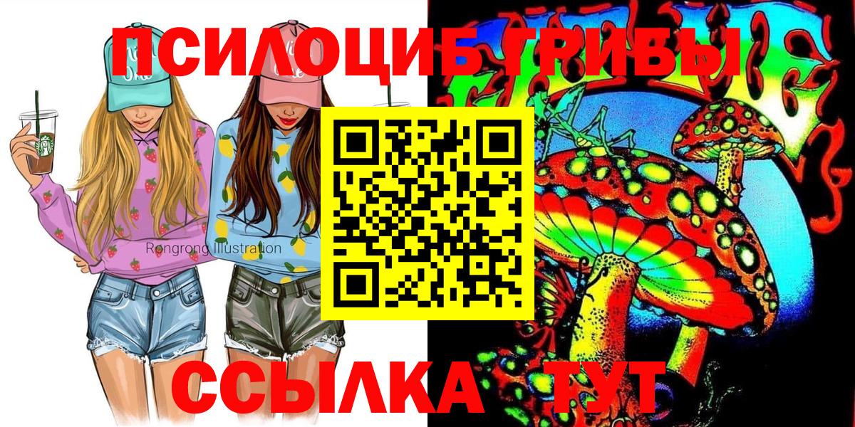 где продают   Галлюциногенные грибы прущие грибы  Вход с VPN  Лыткарино 